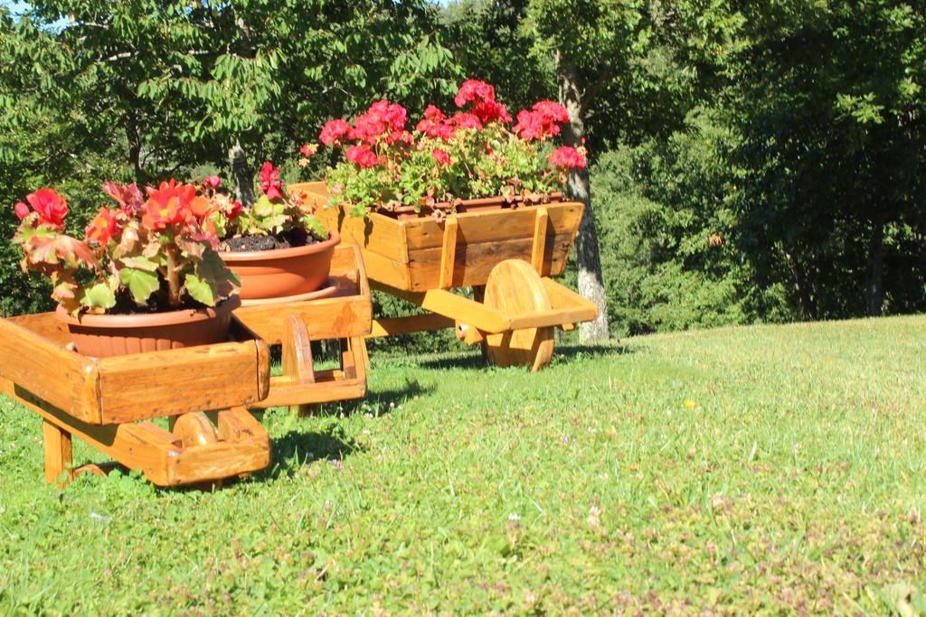 Borgo Country * Caiano