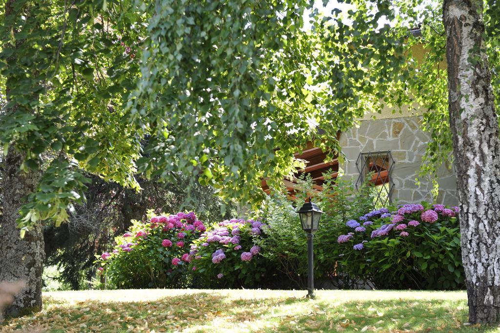 Borgo Country Alojamento de Turismo Rural